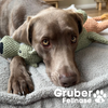 Gruber - Plüschfreunde